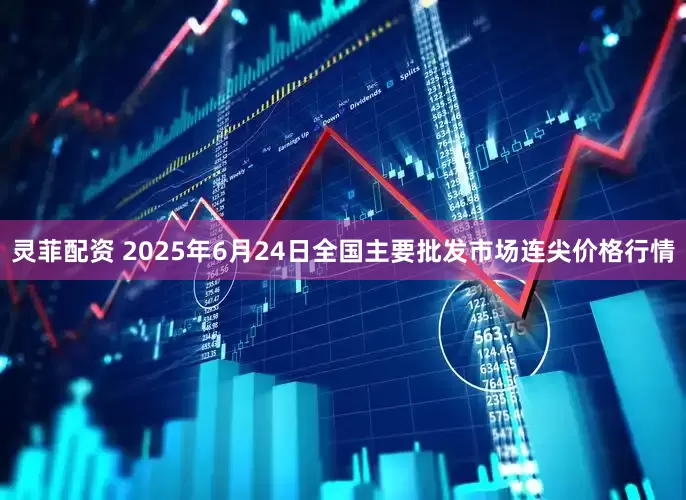 灵菲配资 2025年6月24日全国主要批发市场连尖价格行情