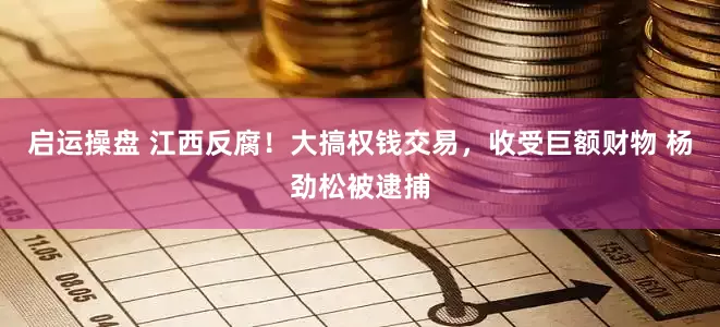 启运操盘 江西反腐！大搞权钱交易，收受巨额财物 杨劲松被逮捕